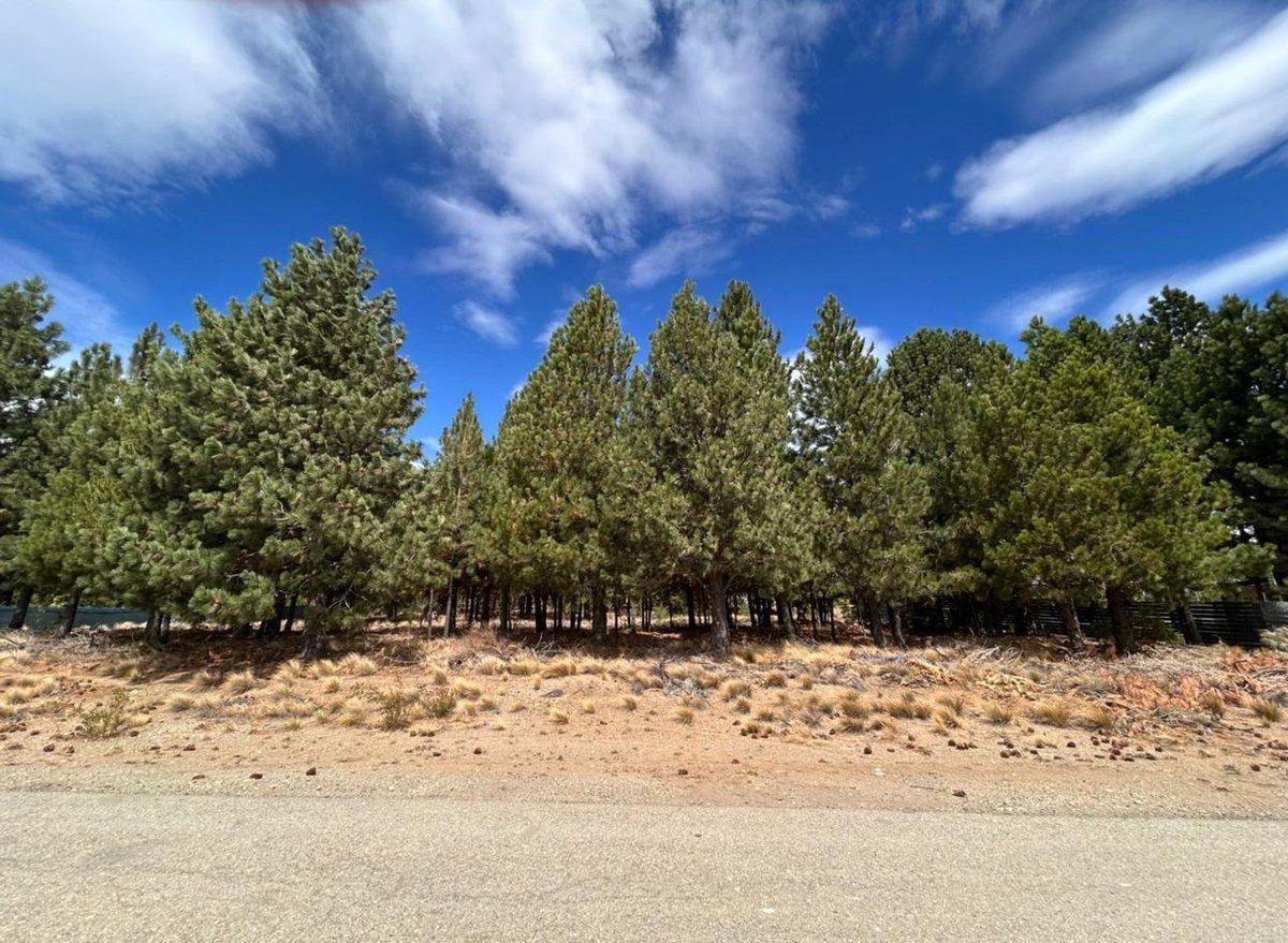 Foto de VENTA LOTE en Bº Girasoles del Limay Dina Huapi, imagen 4