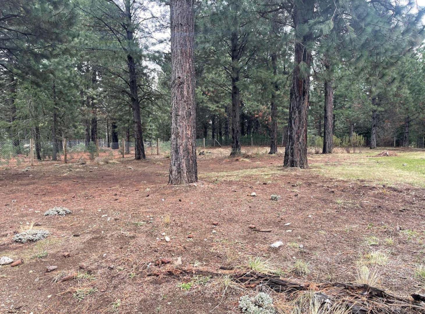 Foto de LOTE PLANO CLUB DE CAMPO DOS VALLES BARILOCHE, imagen 2