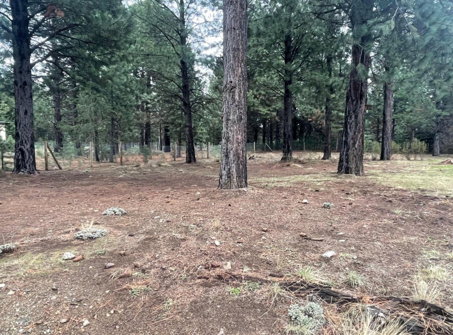 Foto de LOTE PLANO CLUB DE CAMPO DOS VALLES BARILOCHE, imagen 4