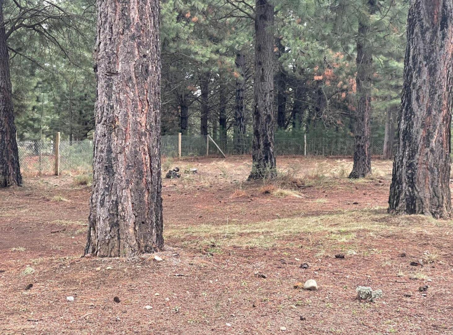 Foto de LOTE PLANO CLUB DE CAMPO DOS VALLES BARILOCHE, imagen 3