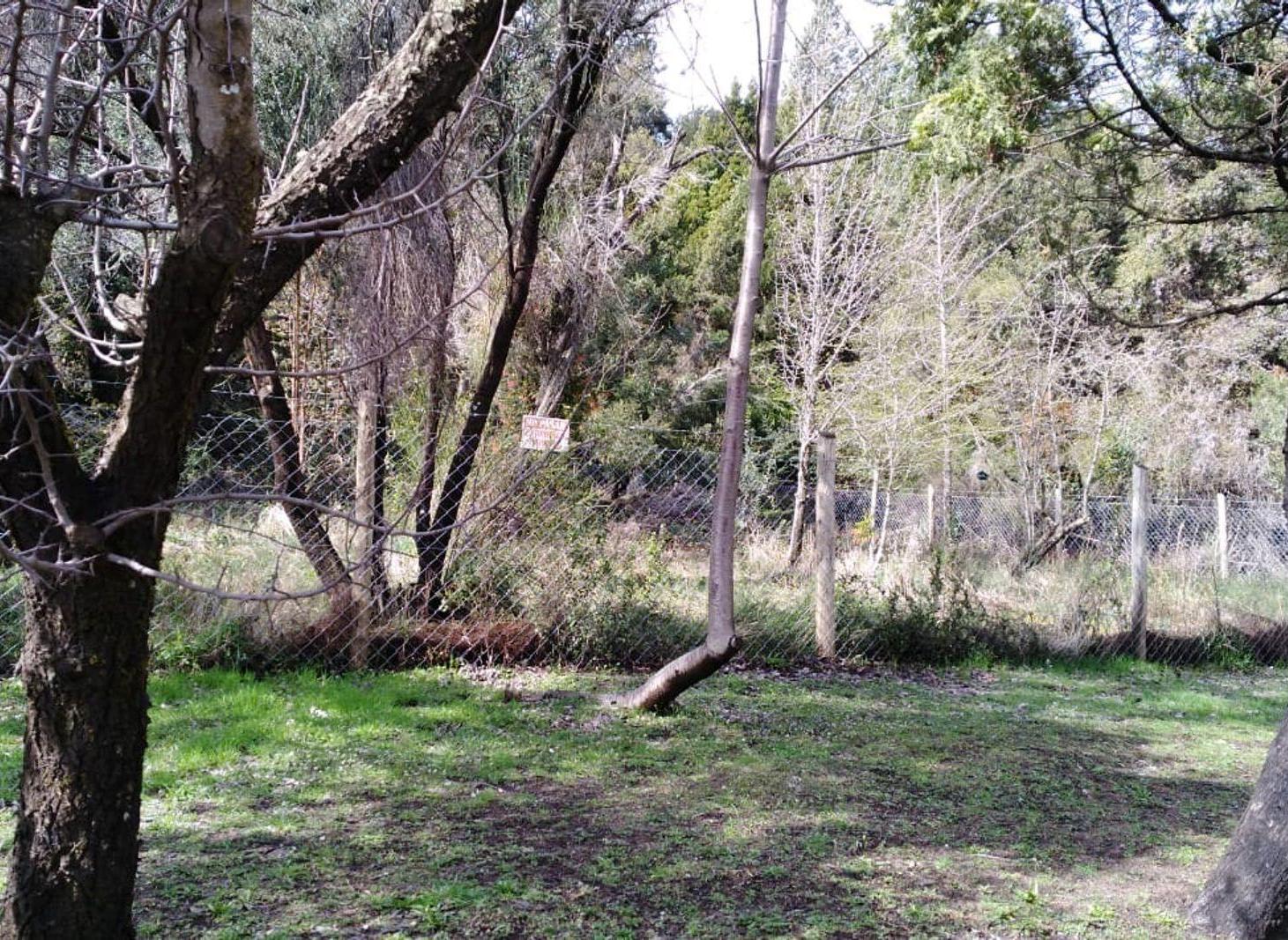 Foto de Lote sobre Avenida Campanario Península San Pedro, imagen 2