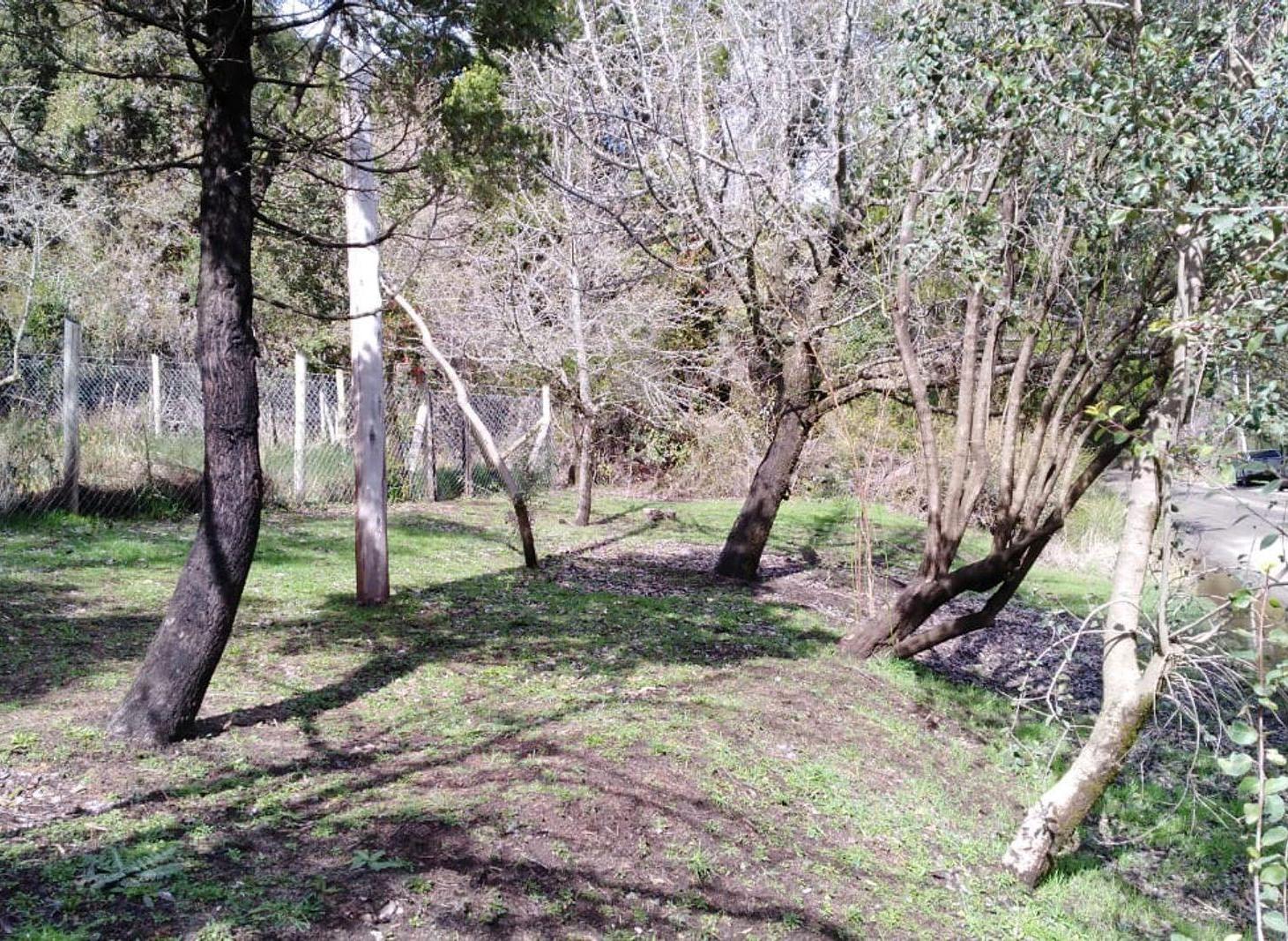 Foto de Lote sobre Avenida Campanario Península San Pedro, imagen 1