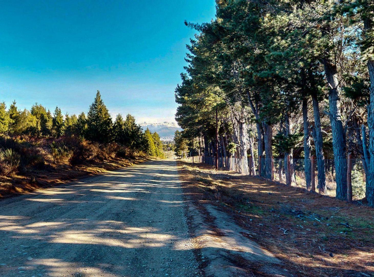 Foto de LOTE EN LAS CHACRAS RUTA40 SAN CARLOS DE BARILOCHE, imagen 5