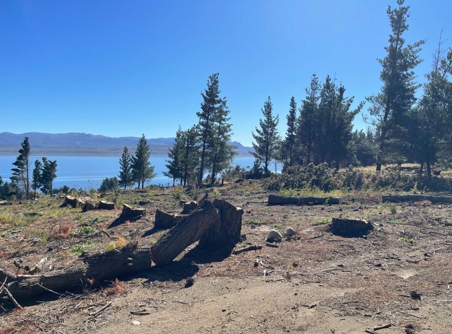 Foto de LOTE EN LAS CHACRAS RUTA40 SAN CARLOS DE BARILOCHE, imagen 3