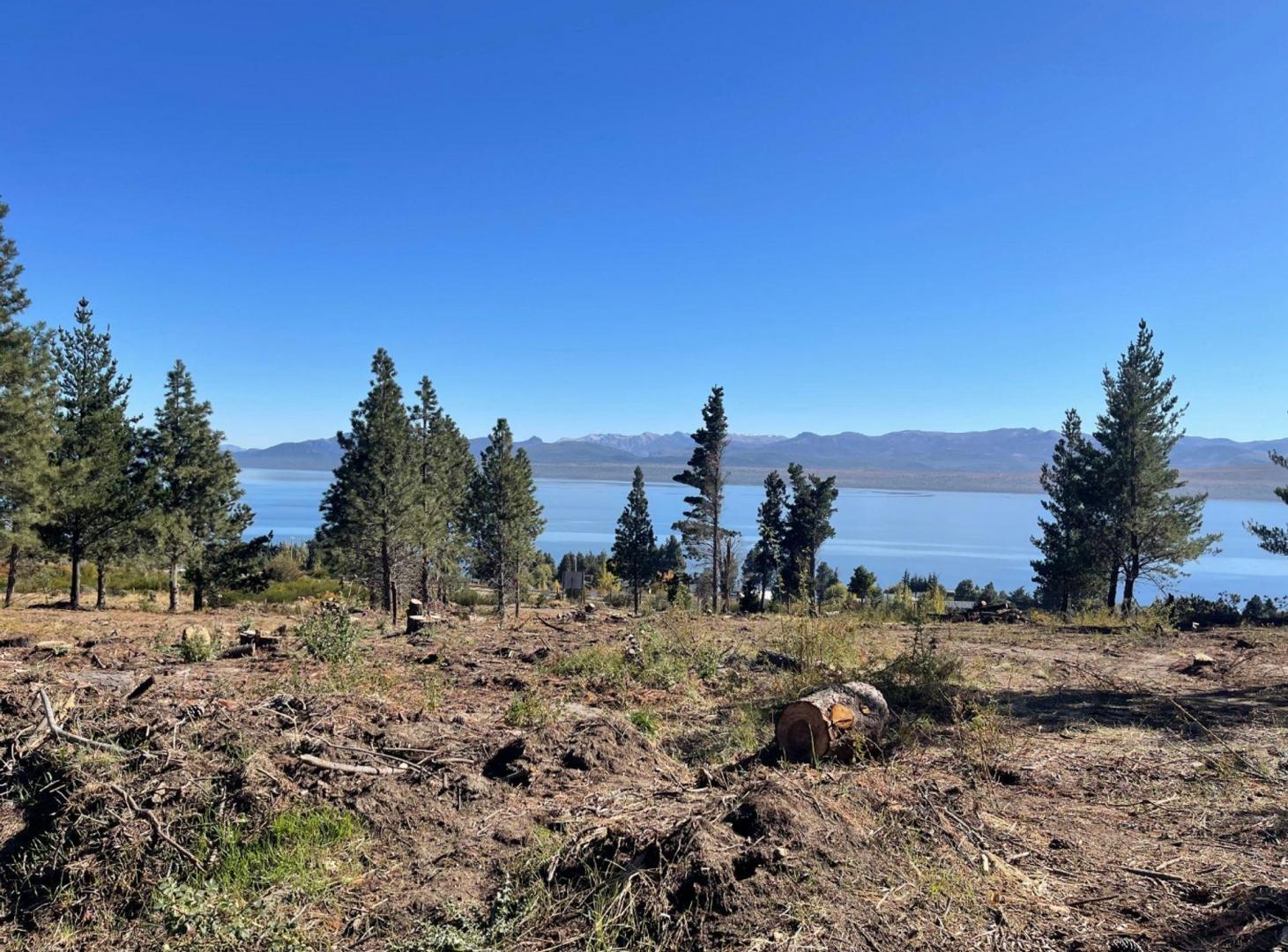 Foto de LOTE EN LAS CHACRAS RUTA40 SAN CARLOS DE BARILOCHE, imagen 1