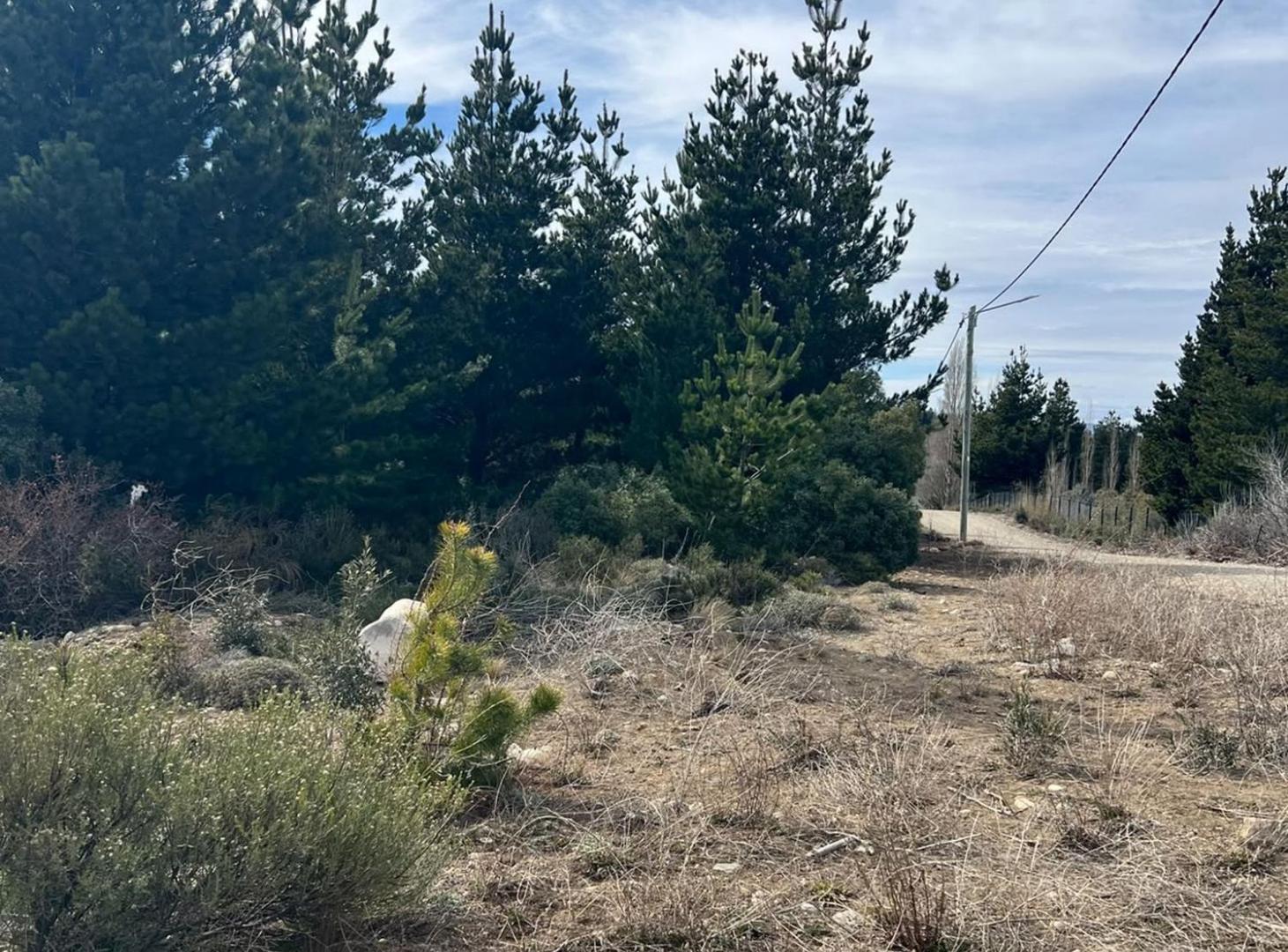 Foto de HERMOSO LOTE EN ALTURA CON VISTA EN LOS ABEDULES, imagen 1