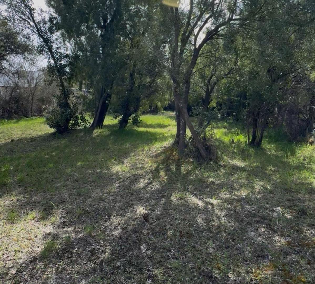 Foto de Lote de 1.200 m² KM 12 Excelente para desarrollo, imagen 2