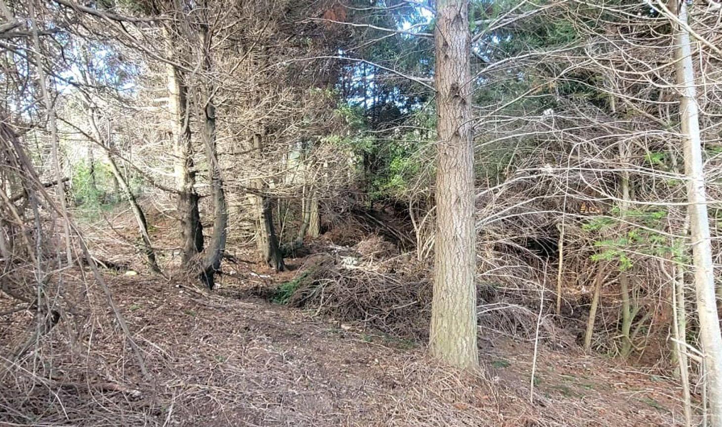 Foto de Lote en Venta – Llao Llao, Bariloche, imagen 1