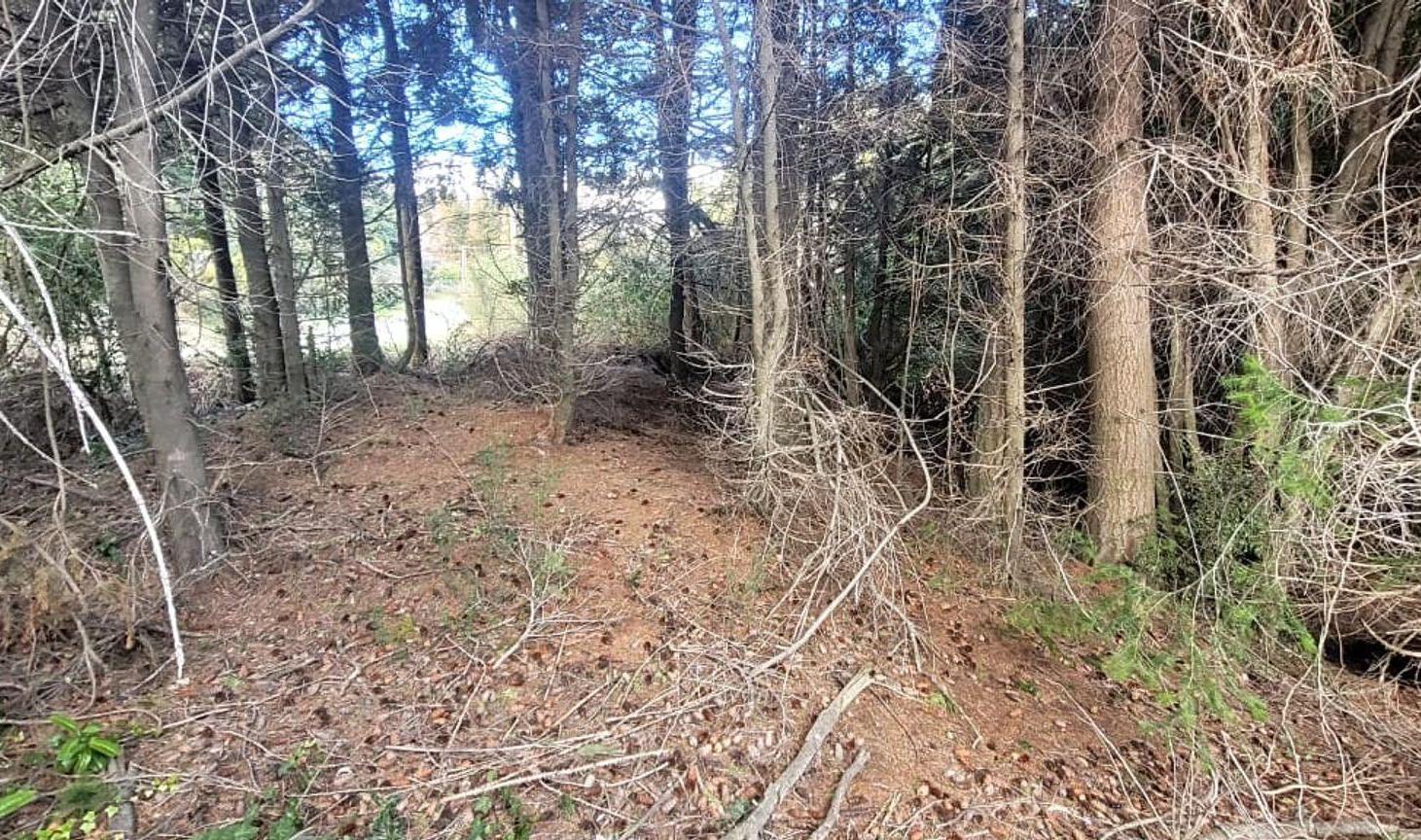 Foto de Lote en Venta – Llao Llao, Bariloche, imagen 3