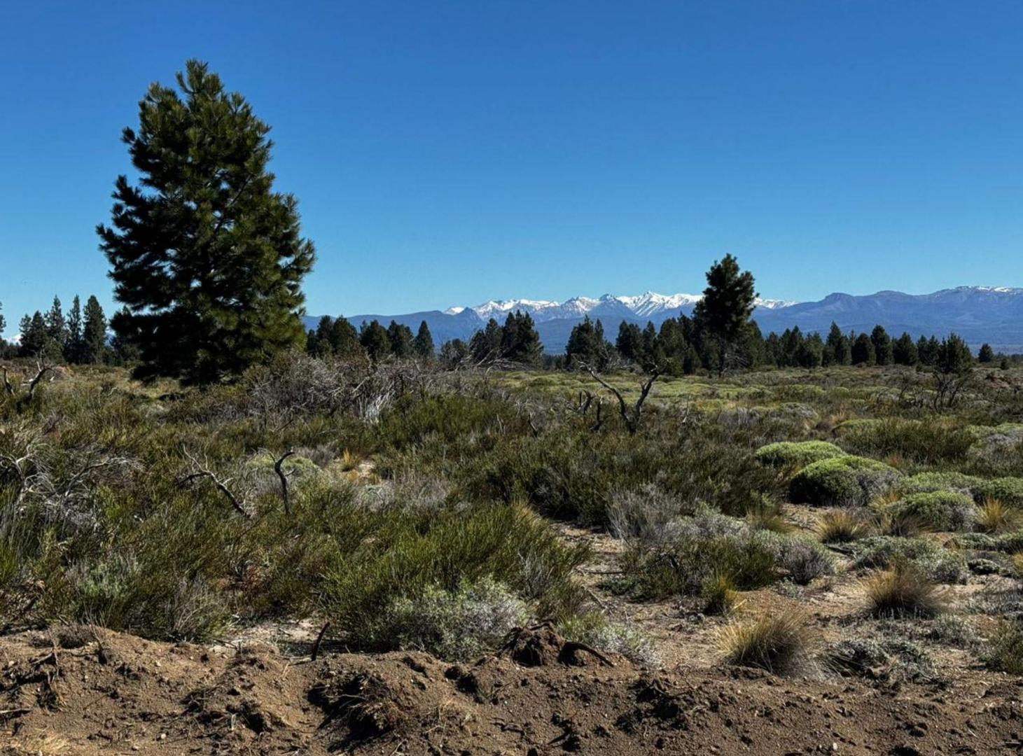 Foto de Lote financiado - Brisas del Nahuel - Bariloche, imagen 1
