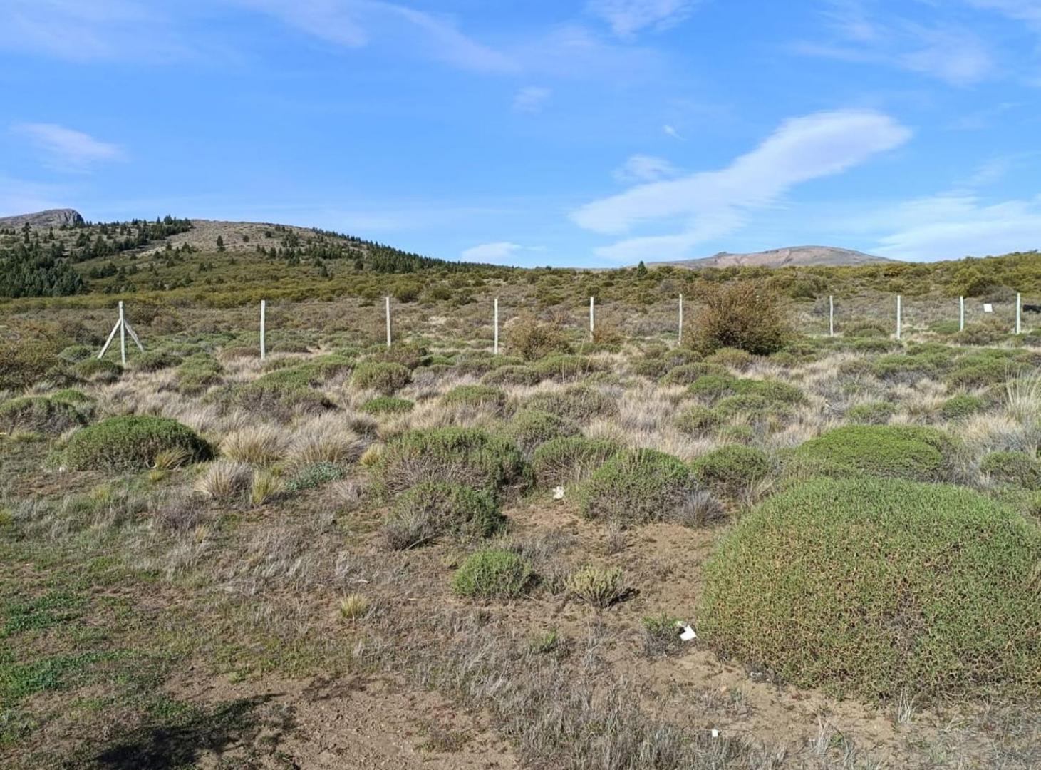 Foto de VENTA Lote en Barrancas de Dina Huapi-OPORTUNIDAD, imagen 4