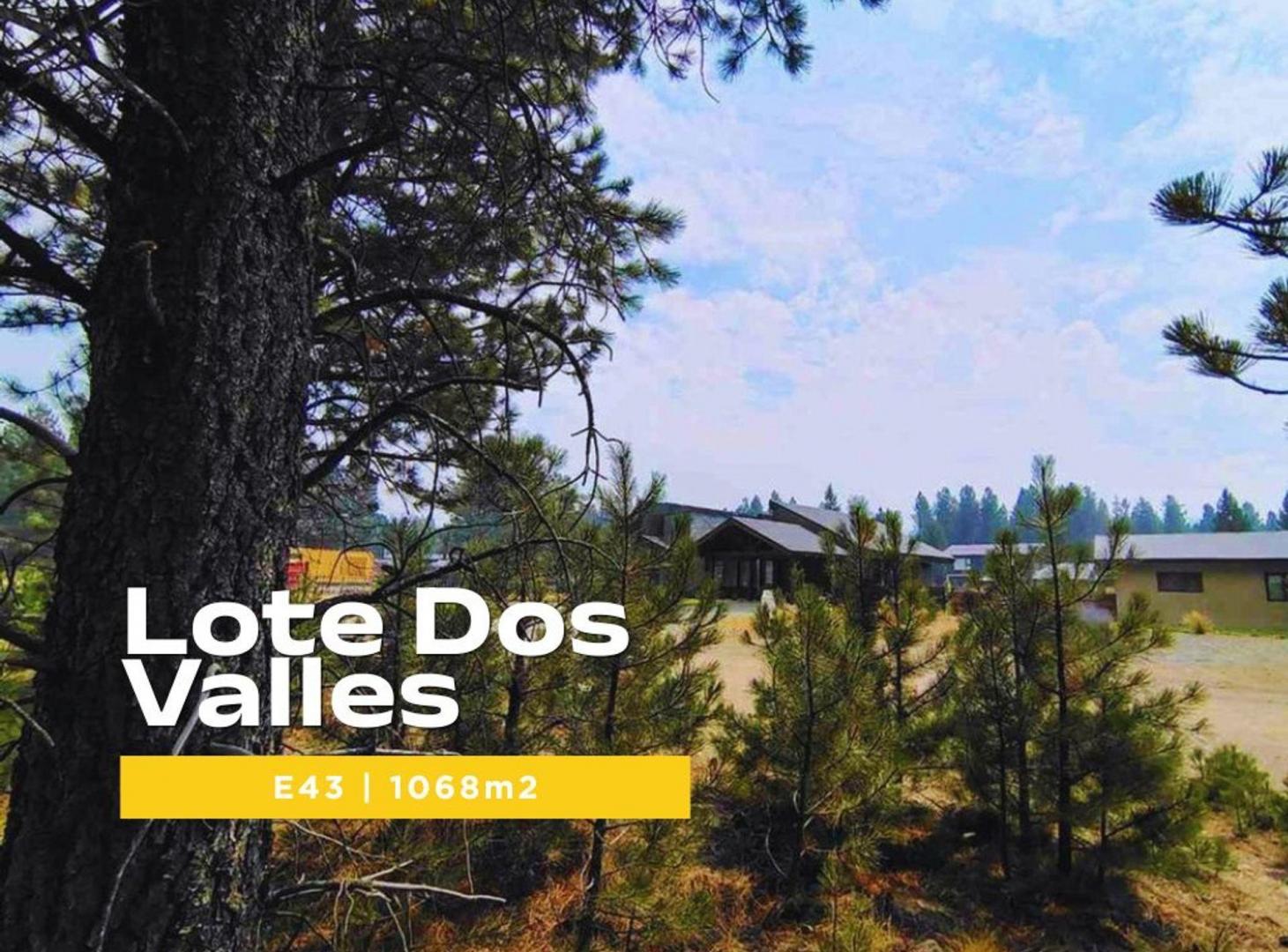 Foto de VENTA LOTE EN DOS VALLES EXCELENTE UBICACION, imagen 1