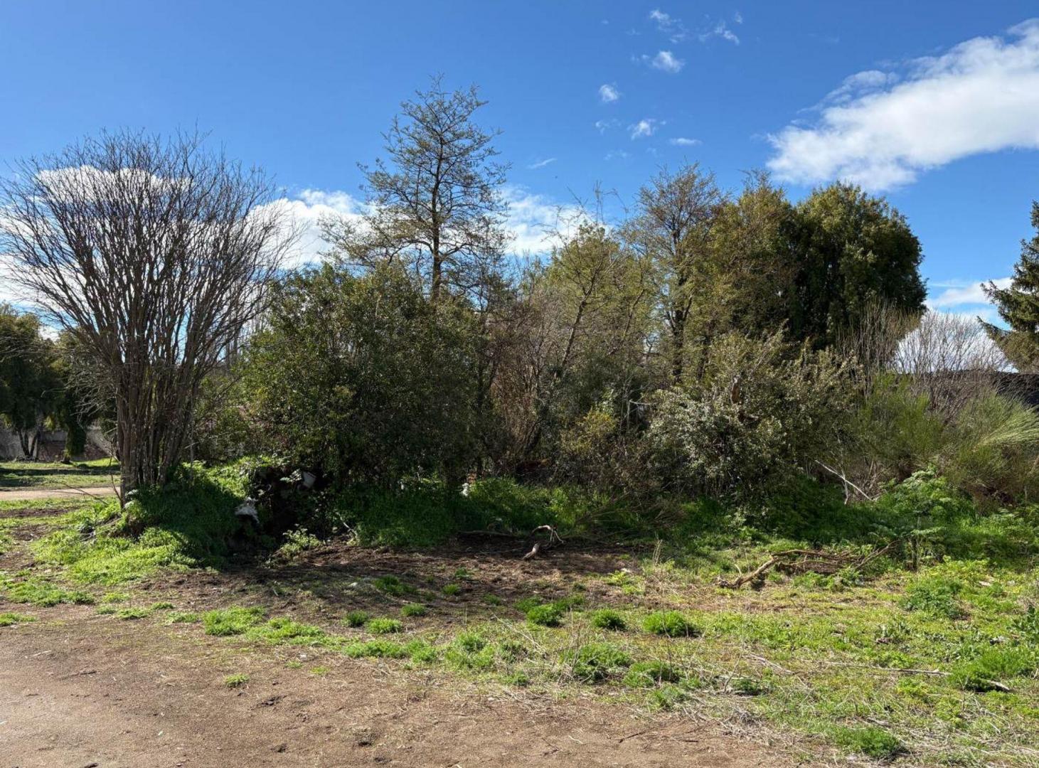 Foto de Lote en esquina Barrio Tres Lagos - Bariloche, imagen 3