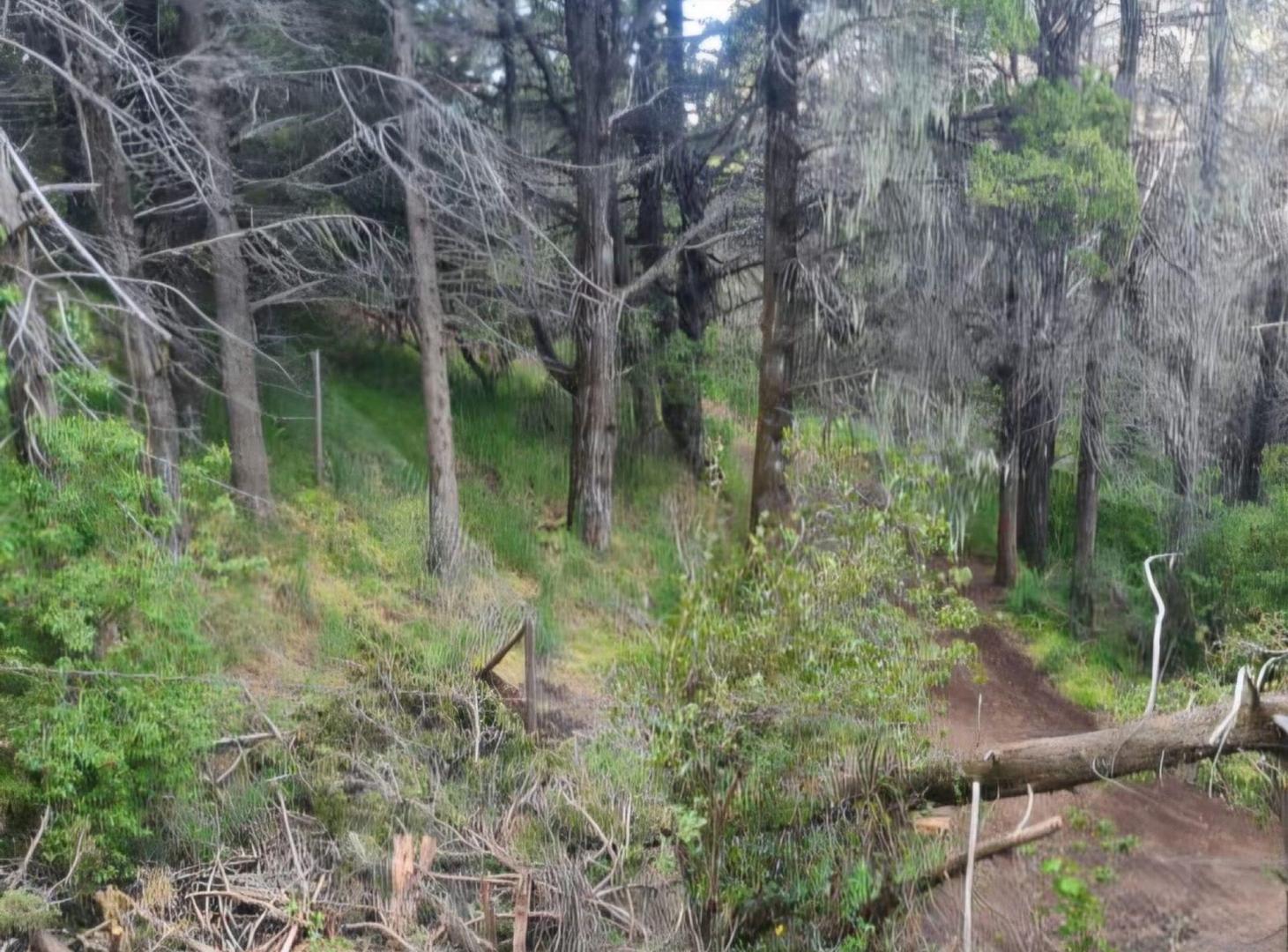 Foto de VENTA LOTE CON VISTA AL LAGO, MELIPAL II BARILOCHE, imagen 3