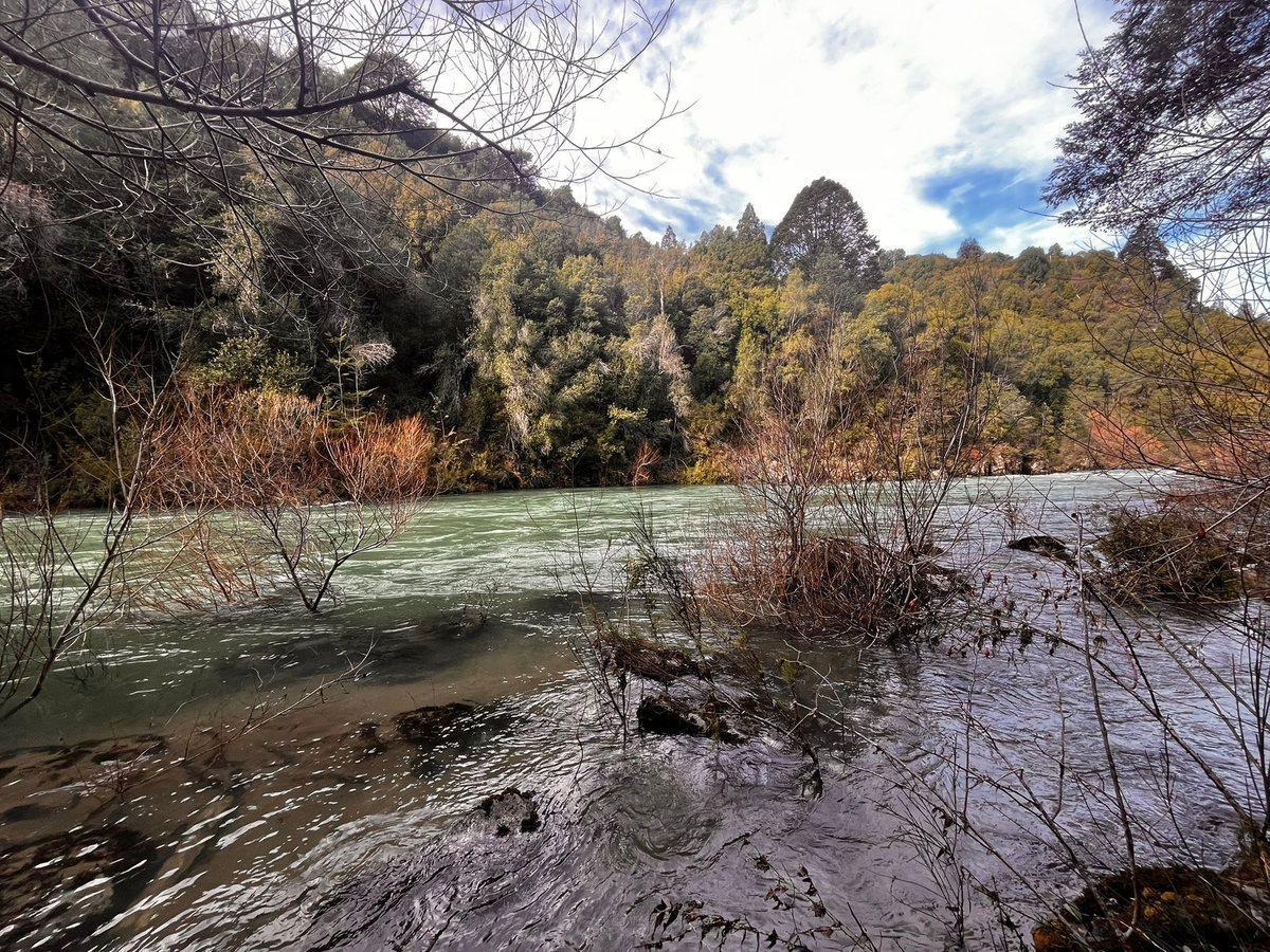 Foto de Campo en Venta en El Manso - 174 ha, imagen 5