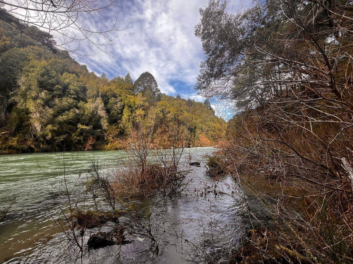 Foto de Campo en Venta en El Manso - 174 ha, imagen 1
