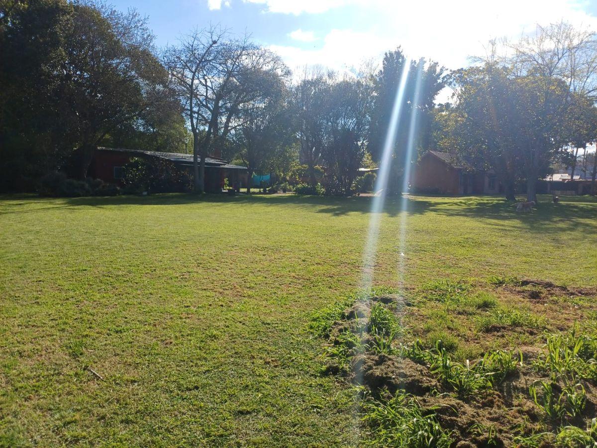 Foto de MUY LINDO TERRENO DE 5000M2 PARQUIZADO Y ARBOLADO EN EXCELENTE ZONA, imagen 5
