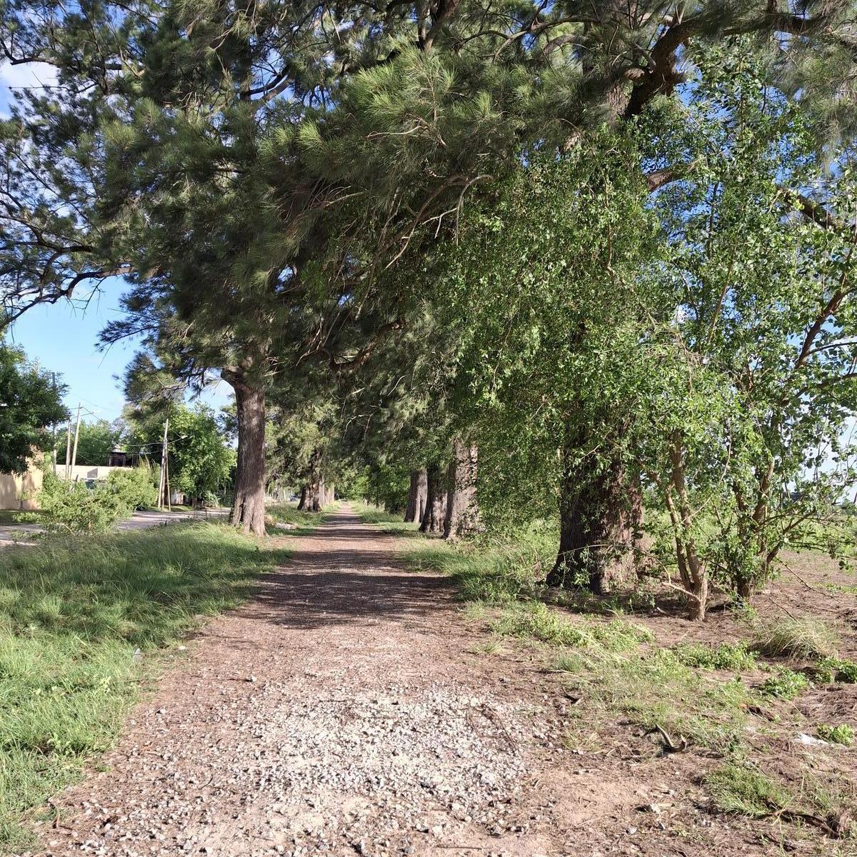 Fracción de 5 Has. en  Manzanares