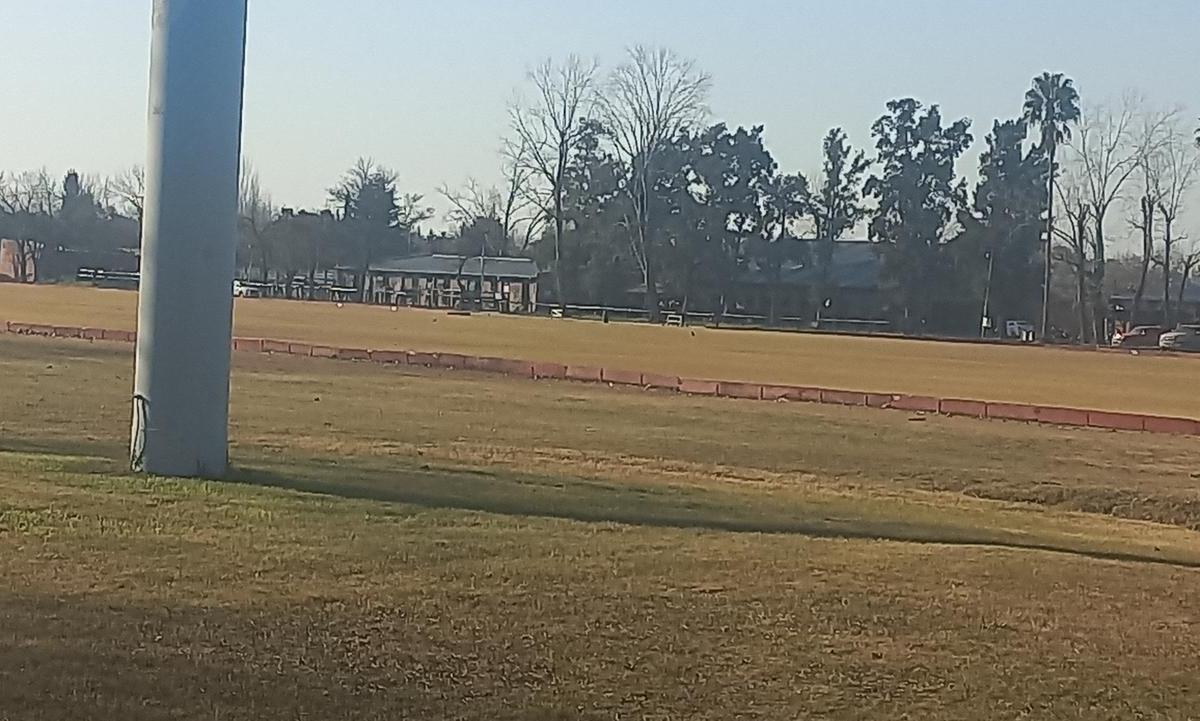 Foto de Terreno en Los Lagartos C.C., imagen 4