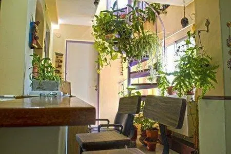 DEPARTAMENTO EN ALQUILER 5