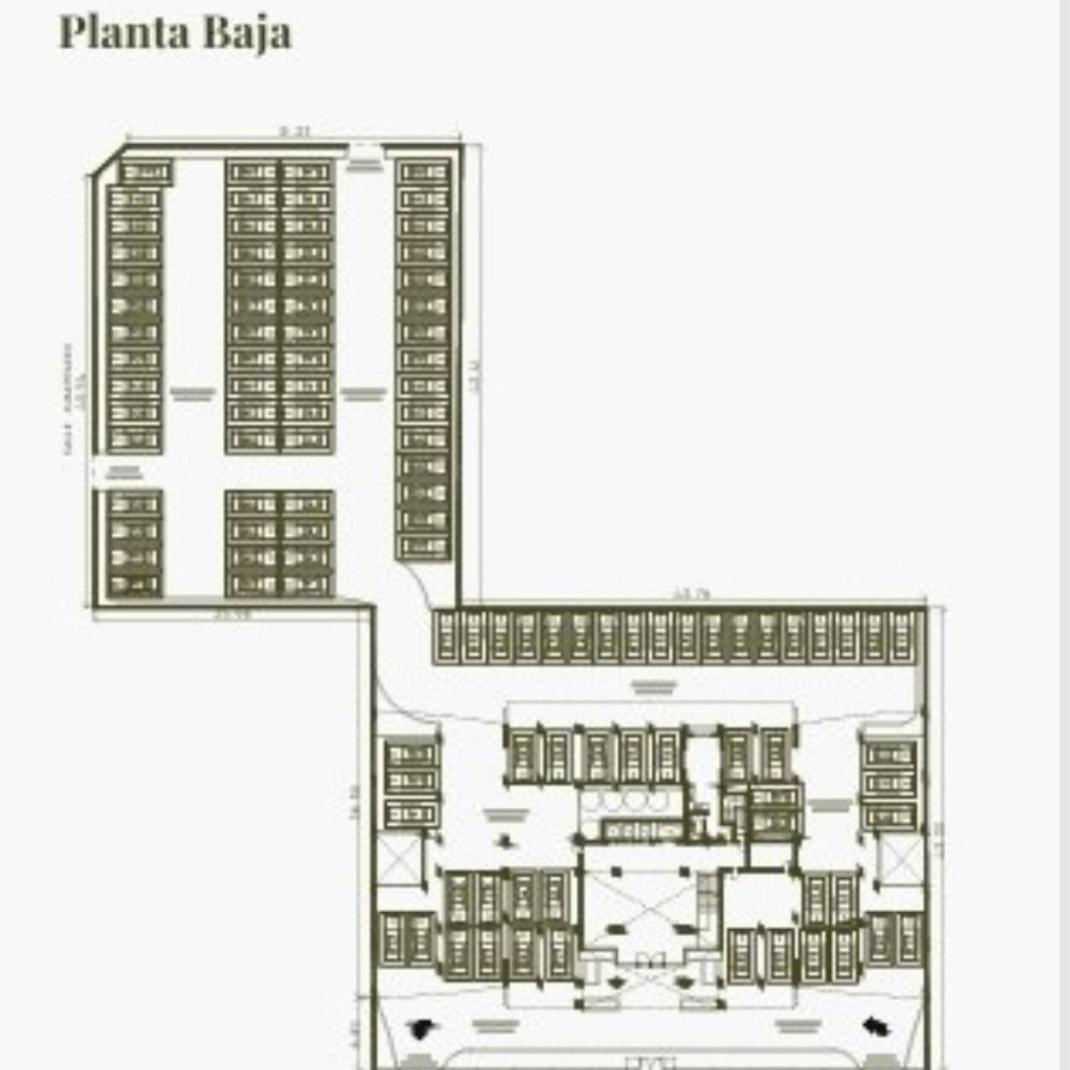 Plano 6