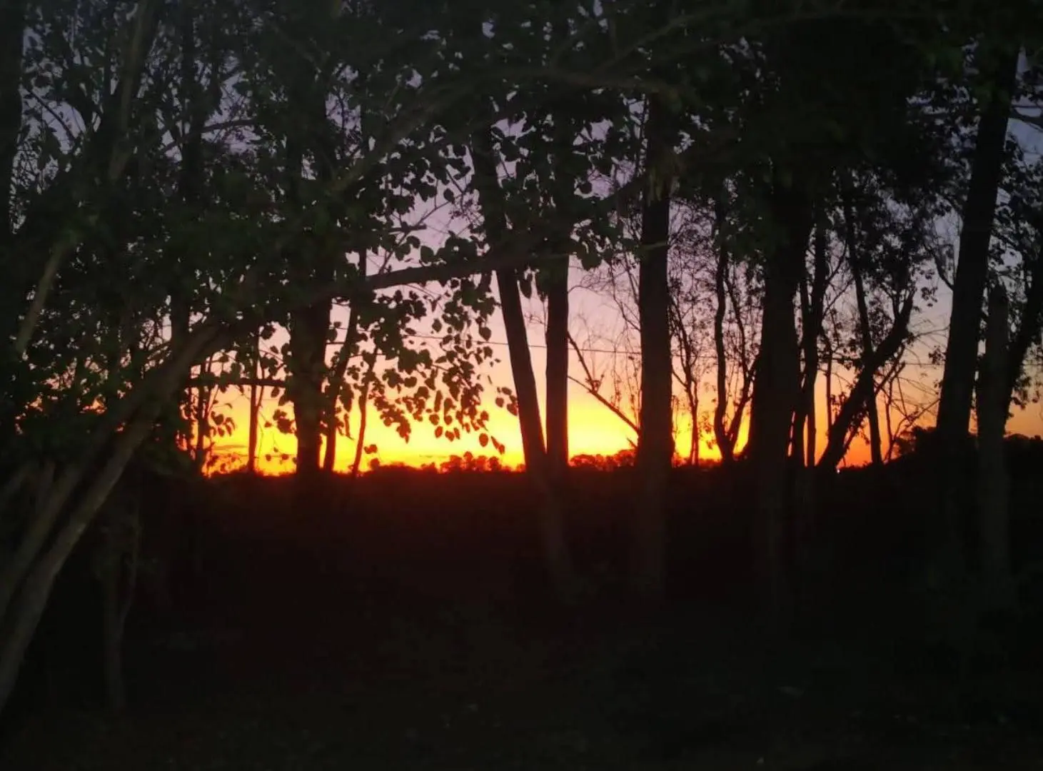 Venta Chacra Única en Villa Ruiz, Bosque Añoso, San Andrés de Giles 3