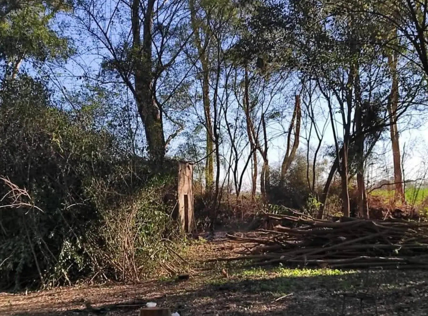Venta Chacra Única en Villa Ruiz, Bosque Añoso, San Andrés de Giles 2