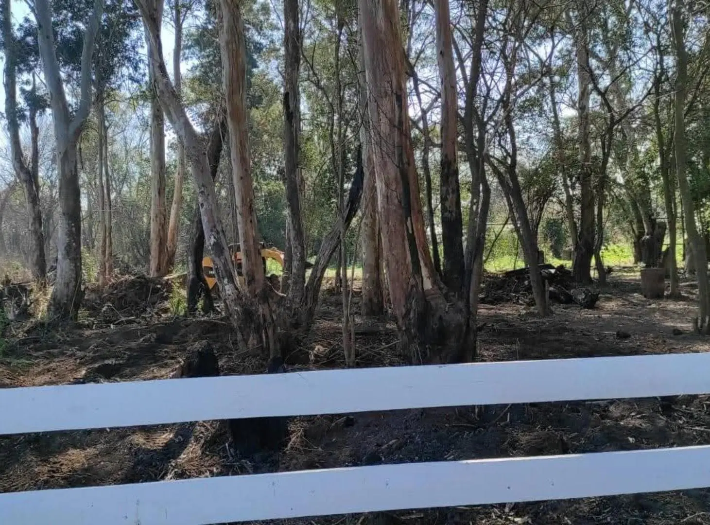 Venta Chacra Única en Villa Ruiz, Bosque Añoso, San Andrés de Giles 5