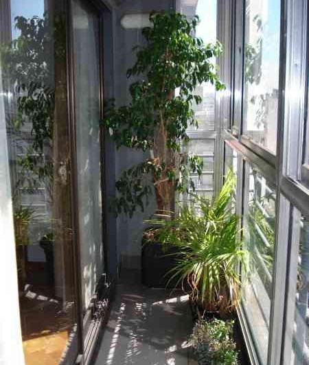 Foto de Departamento en Palermo, imagen 4