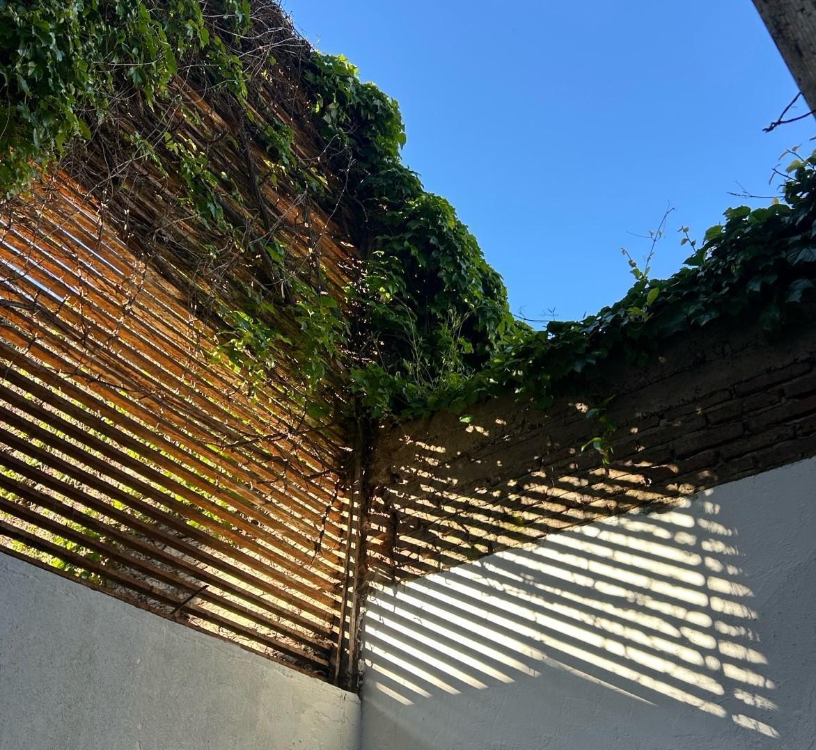Foto de Departamento - Palermo Soho, imagen 1