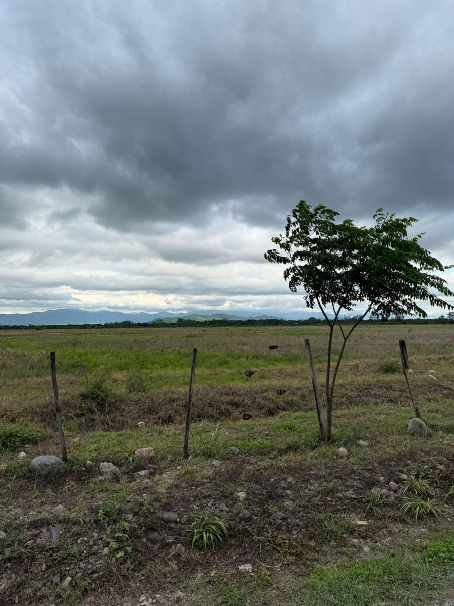 Terreno Venta Cerrillos Fideicomiso Ortiz 4
