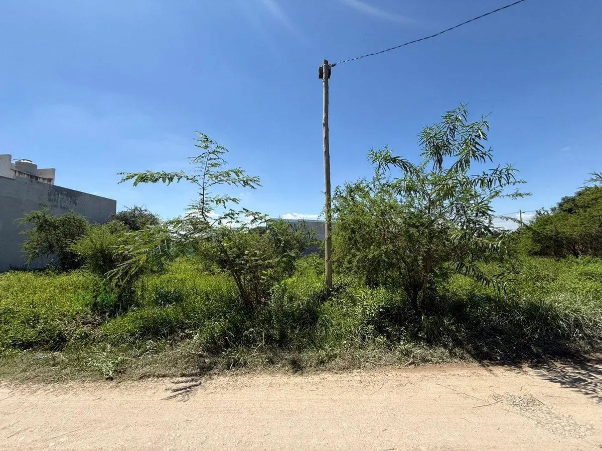 TERRENO VENTA LOTEO SEPTIEMBRE SAN LORENZO CHICO 2