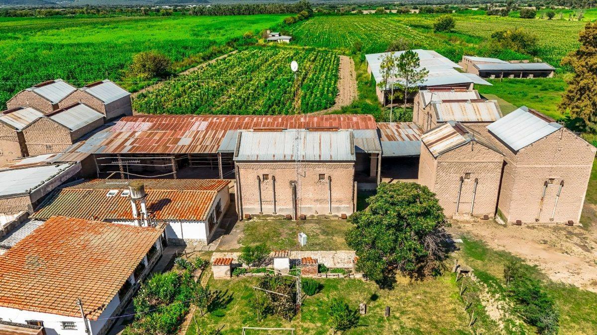 CAMPO VENTA 23 HECTAREAS RP 21 CERRILLOS