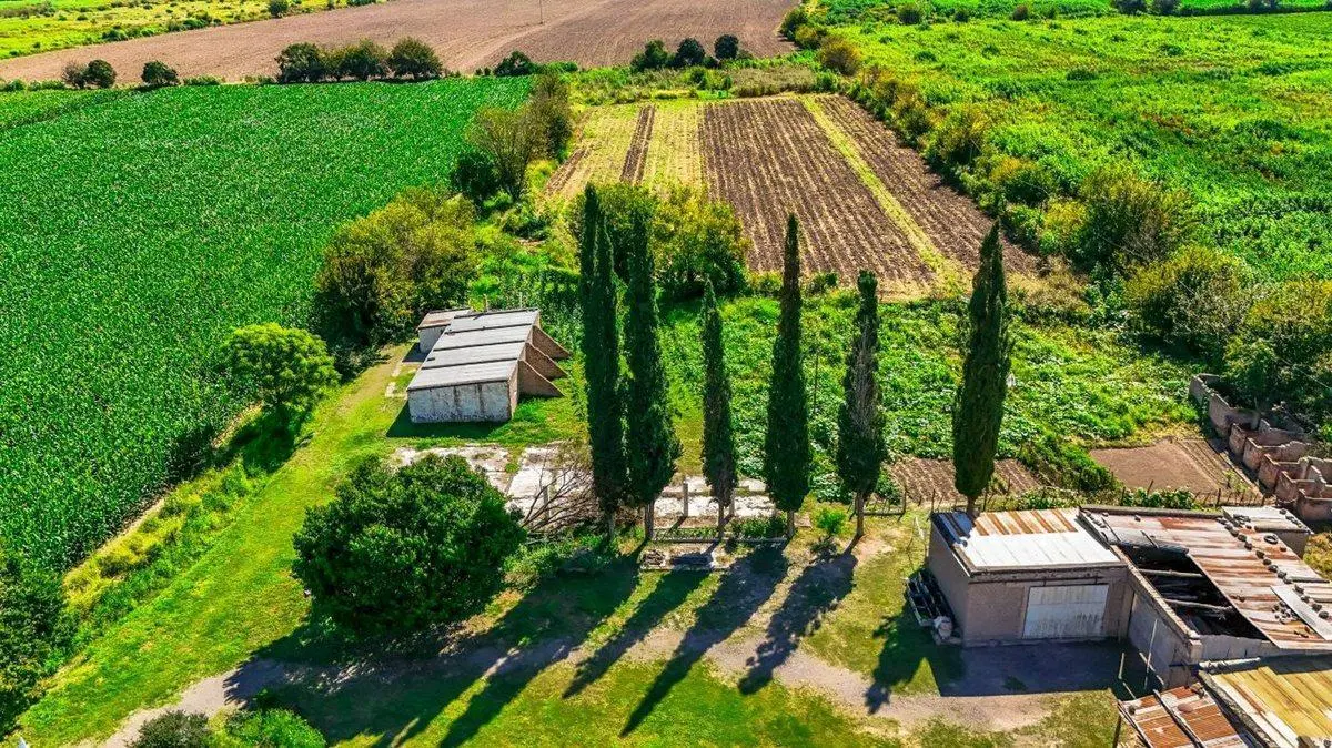 CAMPO VENTA 23 HECTAREAS RP 21 CERRILLOS 5