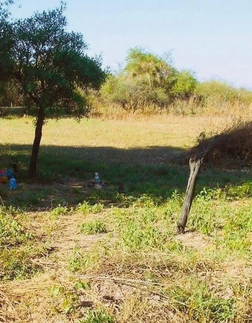 TERRENO VENTA CHICOANA FINCA BELLA VISTA 2