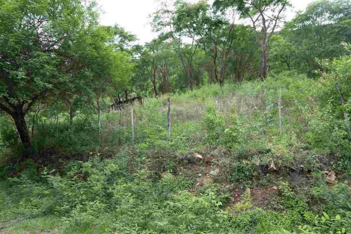 TERRENO VENTA LA MISION III 856 M2 LA CALDERA 2