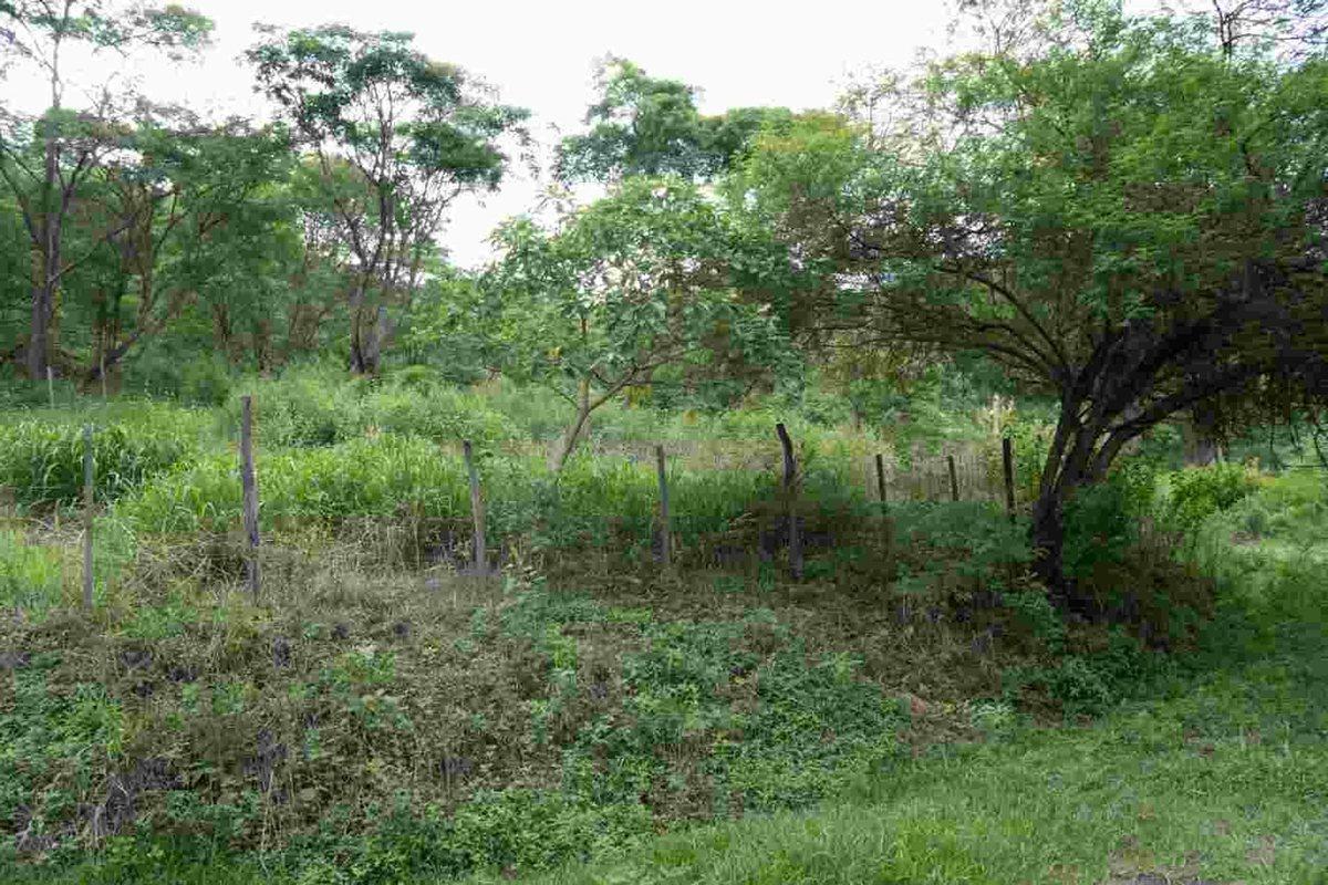 TERRENO VENTA LA MISION III 856 M2 LA CALDERA