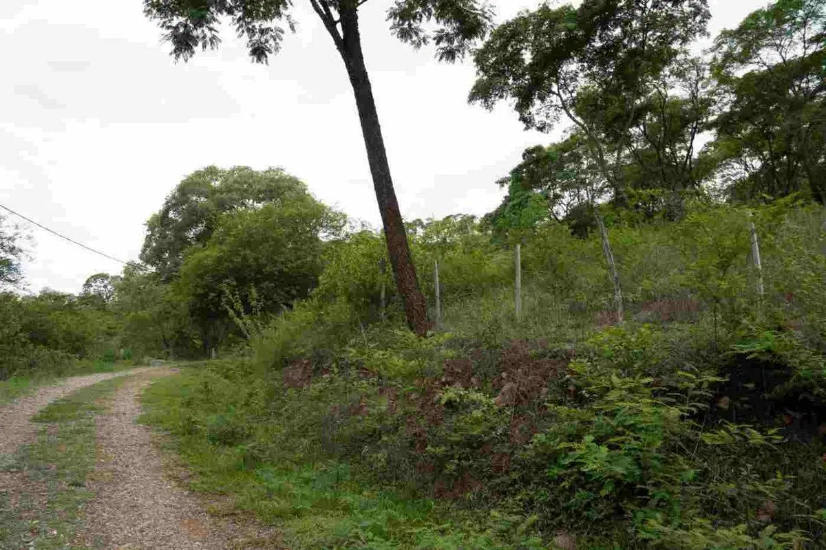 TERRENO VENTA LA MISION III 856 M2 LA CALDERA 4