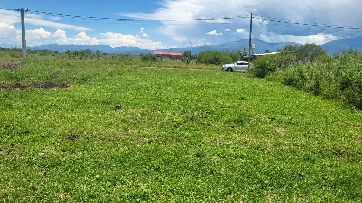 TERRENO VENTA CAMPO QUIJANO 450 M2 3