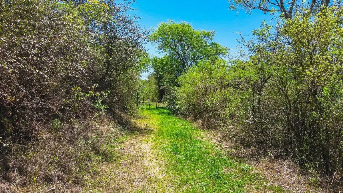 TERRENO VENTA 1 HECTAREA CASTELLANOS SAN LORENZO 5