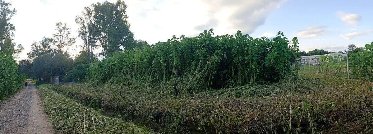 TERRENO EN VENTA EN CERRILLOS 2