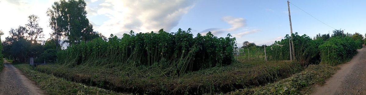 TERRENO EN VENTA EN CERRILLOS