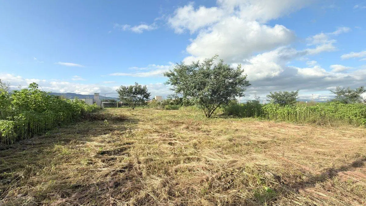 TERRENO VENTA EL MOLLAR II RP 24 ROSARIO DE LERMA 2
