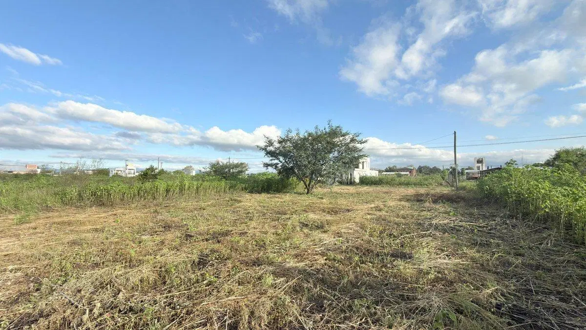 TERRENO VENTA EL MOLLAR II RP 24 ROSARIO DE LERMA 5