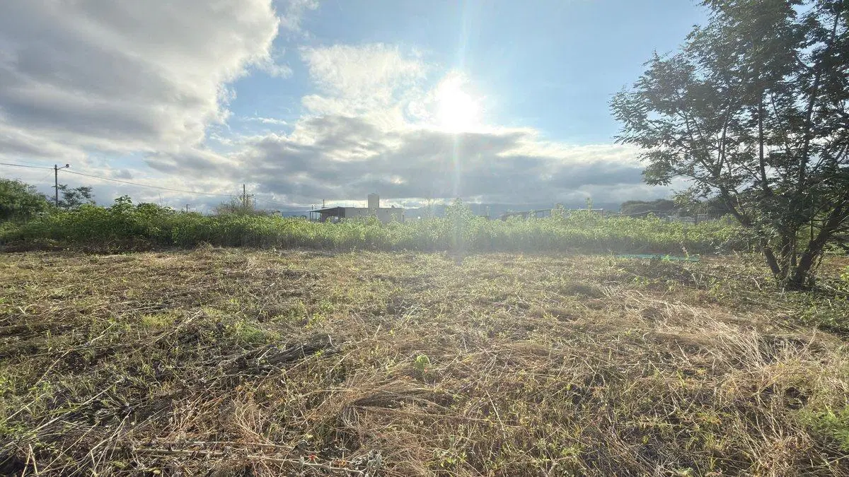 TERRENO VENTA EL MOLLAR II RP 24 ROSARIO DE LERMA 3