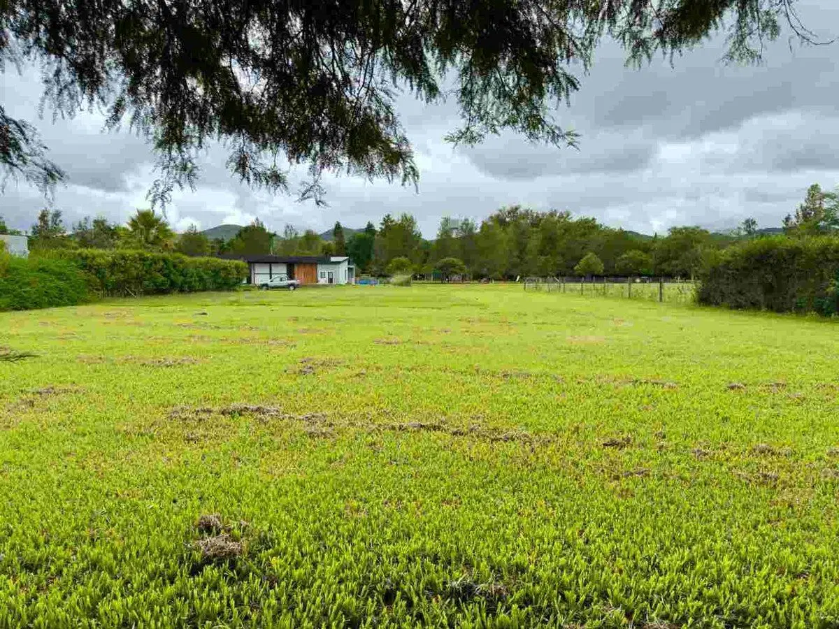 TERRENO EN VENTA 1893 M2 SANTA APOLONIA CERRILLOS 2