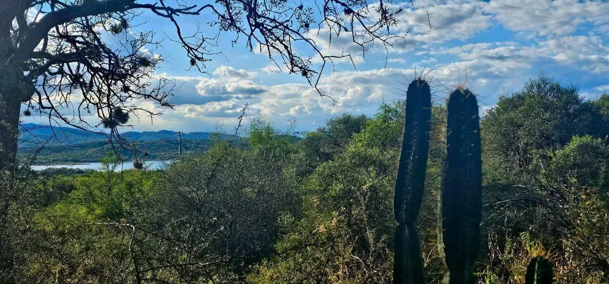 TERRENO EN VENTA SALADILLO DIQUE CABRA CORRAL 4