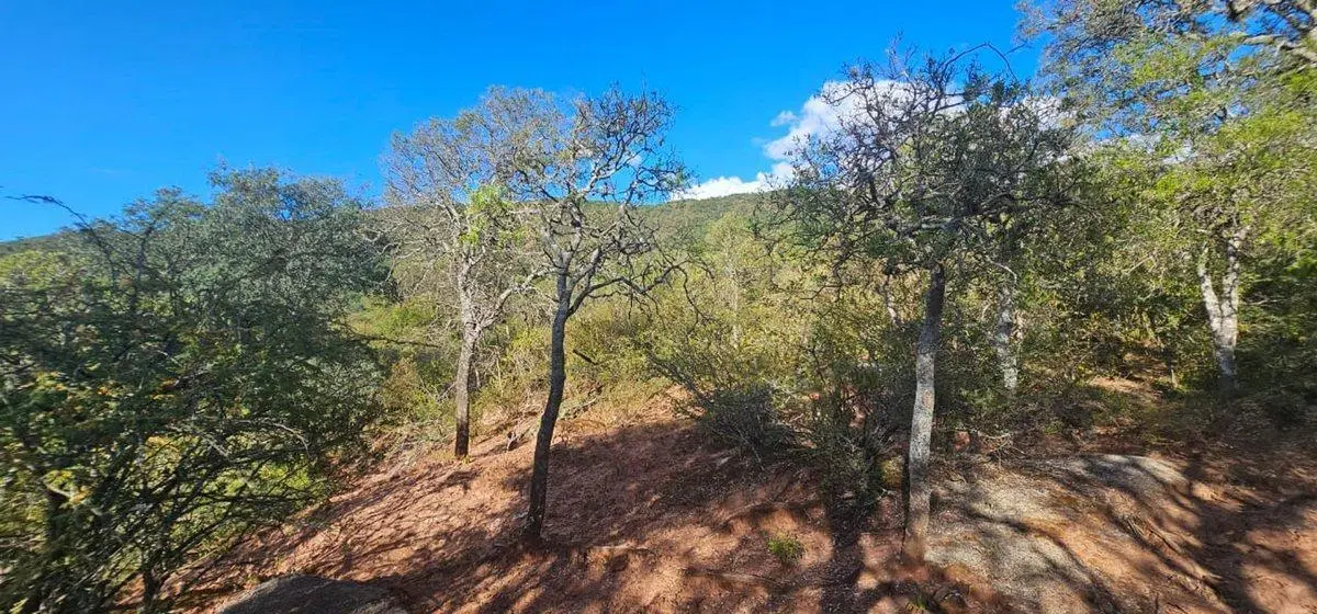 TERRENO EN VENTA SALADILLO DIQUE CABRA CORRAL 3
