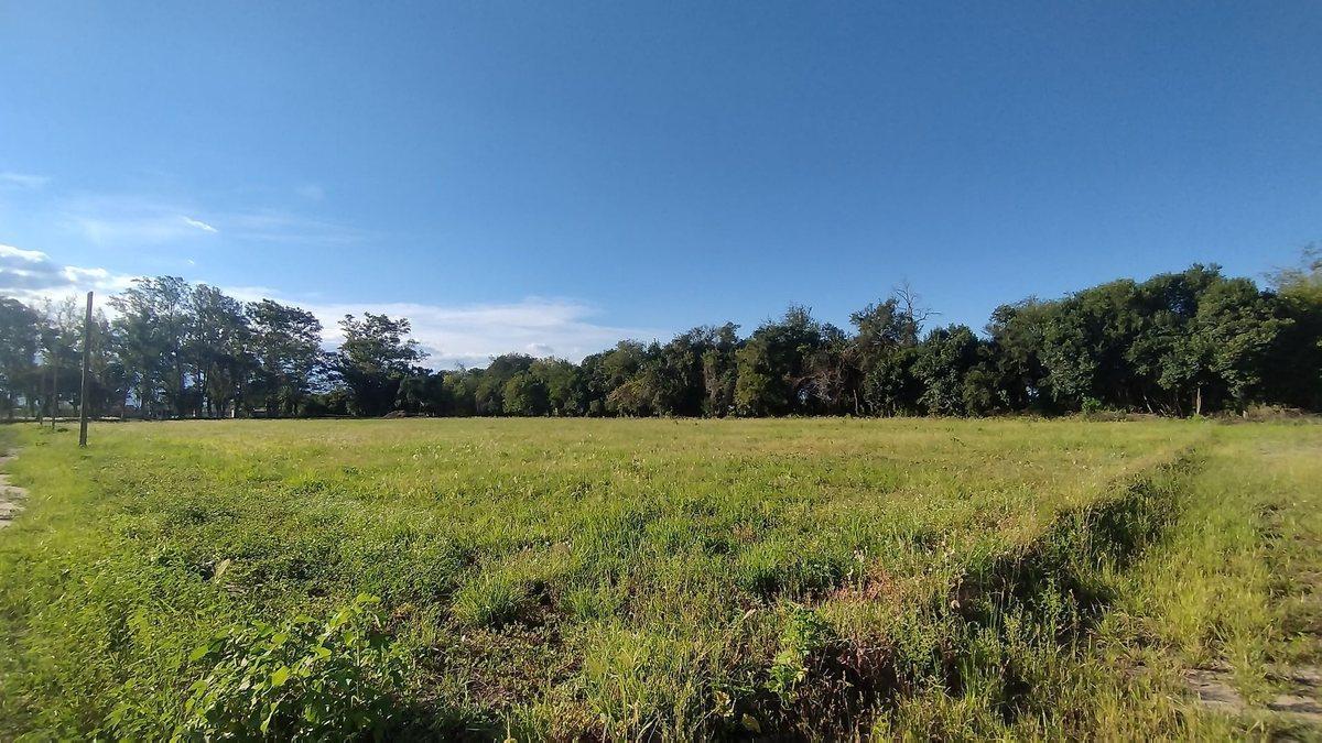 TERRENO VENTA LOS OLMOS 360 CERRILLOS 303 M2
