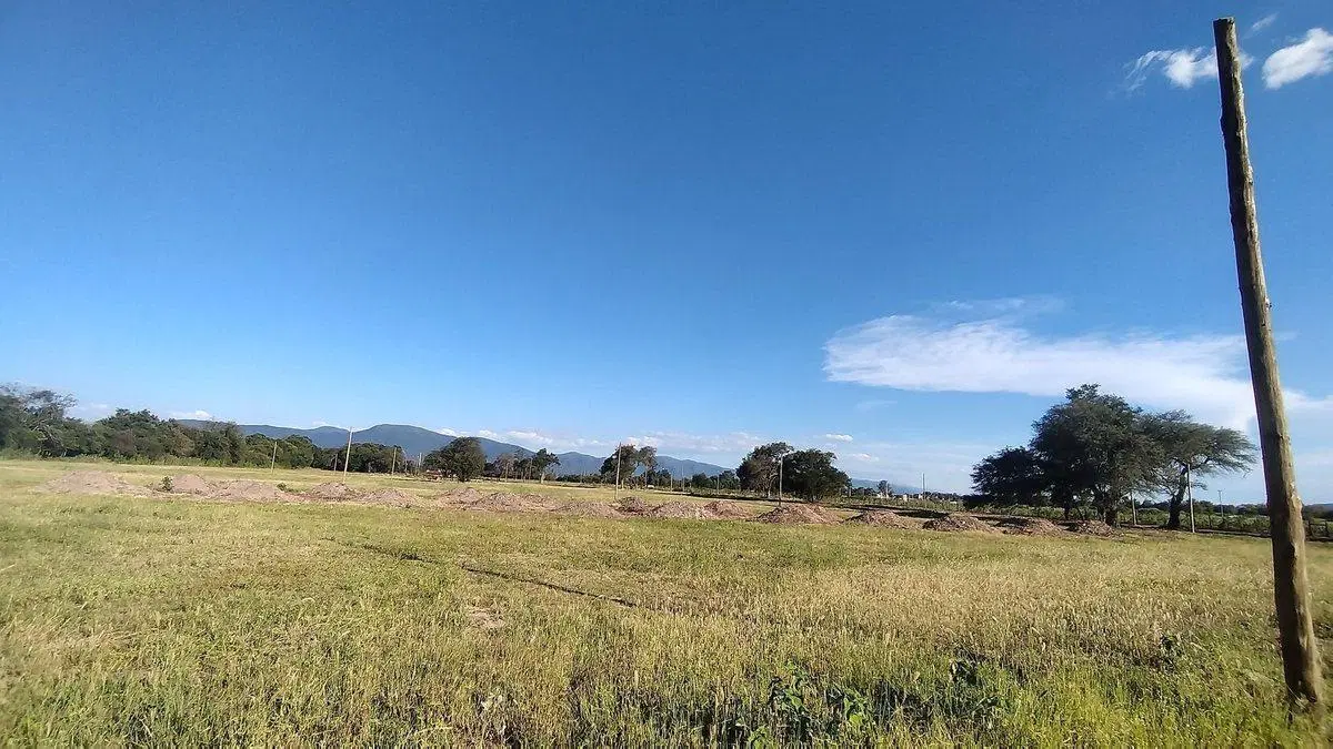 TERRENO VENTA LOS OLMOS 360 CERRILLOS 303 M2 4